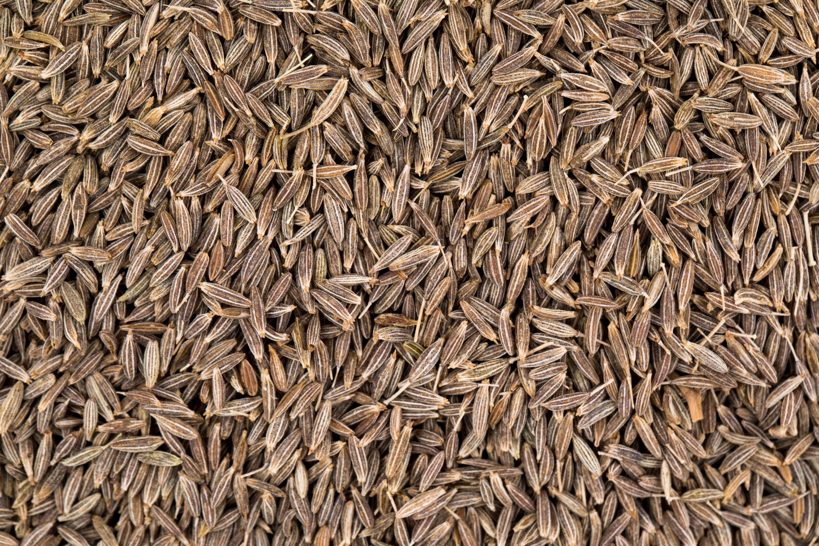 background texture dried cumin seeds