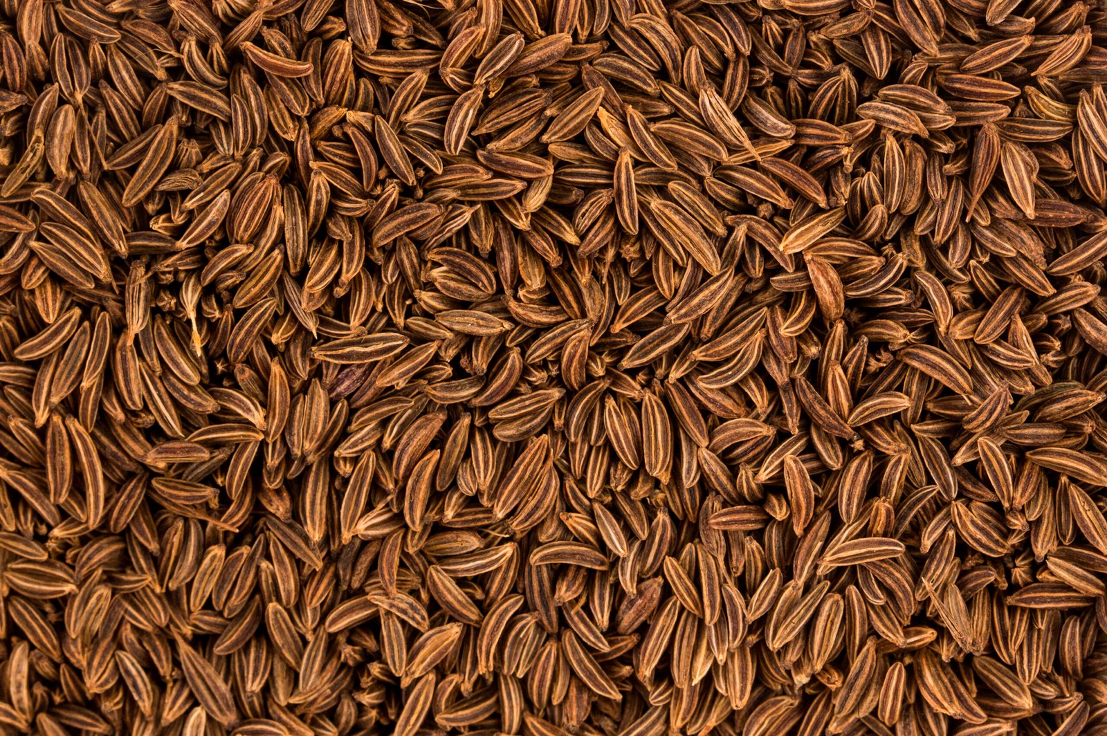cumin seeds background or texture